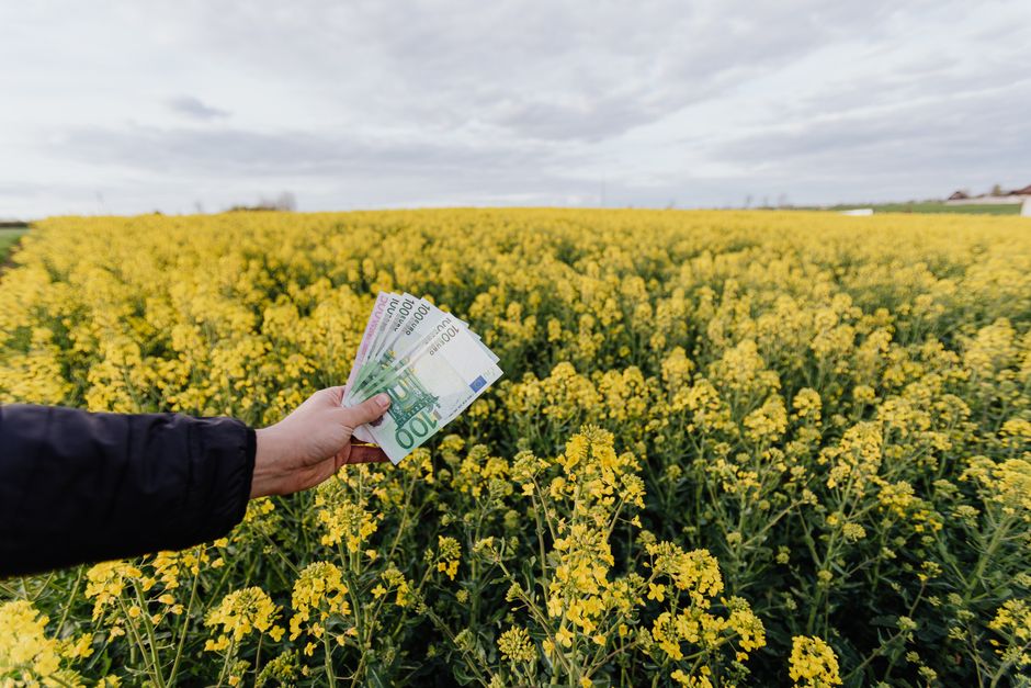 Woedende ouders met kinderen, die hun gezinsfinanciën plannen