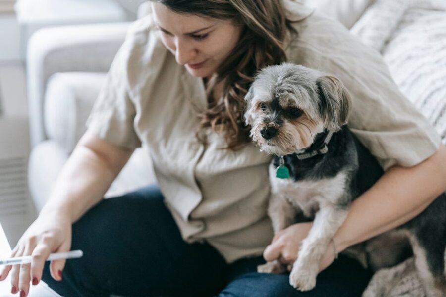 Verschillende huisdieren zoals honden en katten