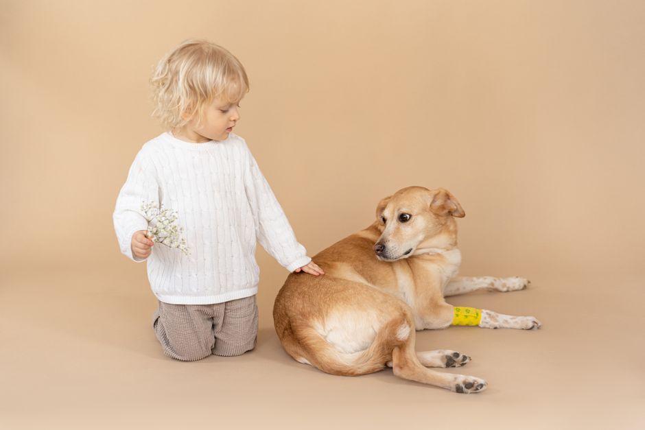 Een hond die buiten speelt
