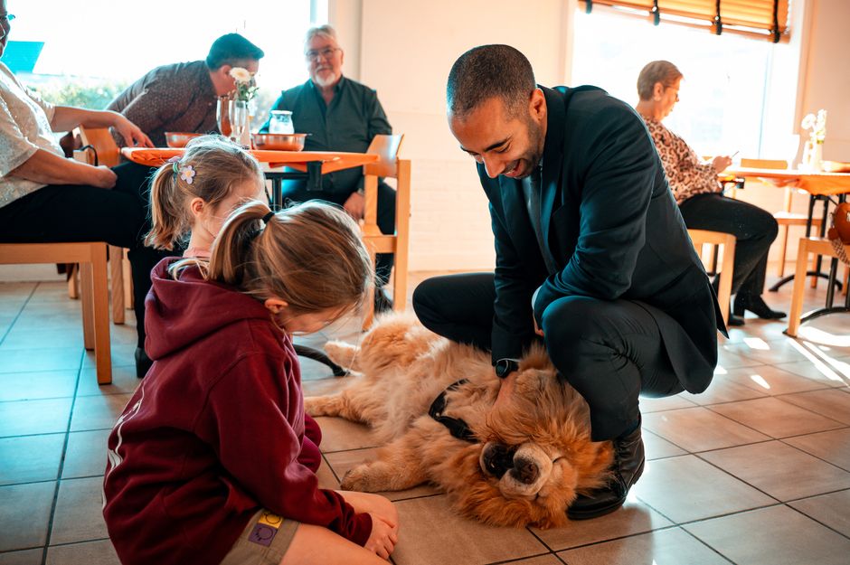 Oude hond die op een bank ligt met een afbeelding van een zorgzame eigenaar