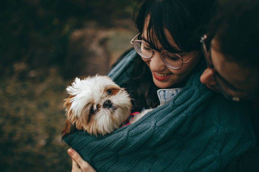 Een gelukkige oude hond en kat samen