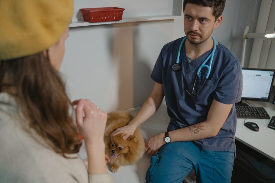 Huisdierenverzekering informatie