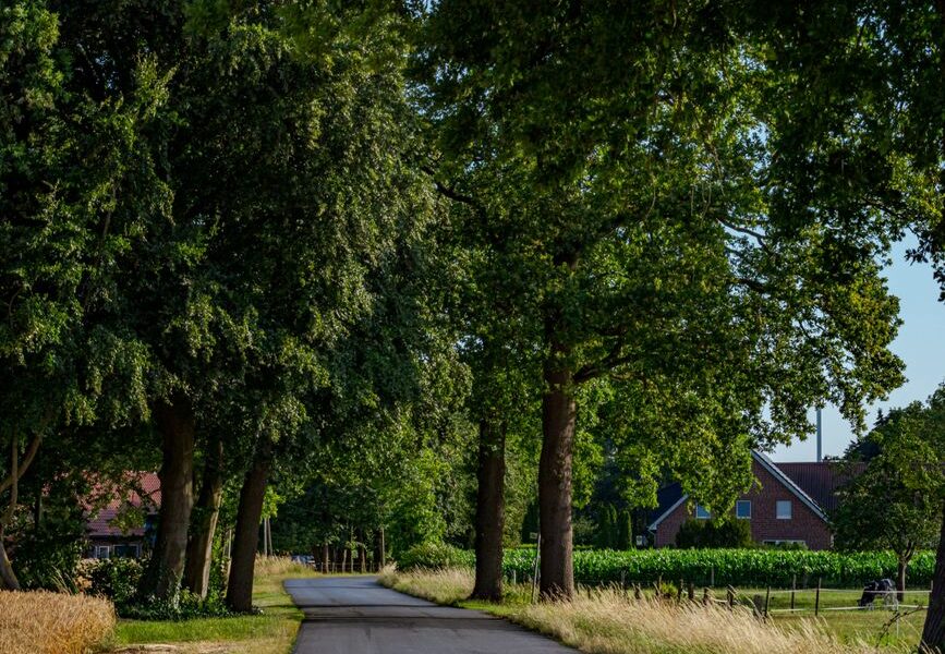Levensverzekering voor zzp'ers