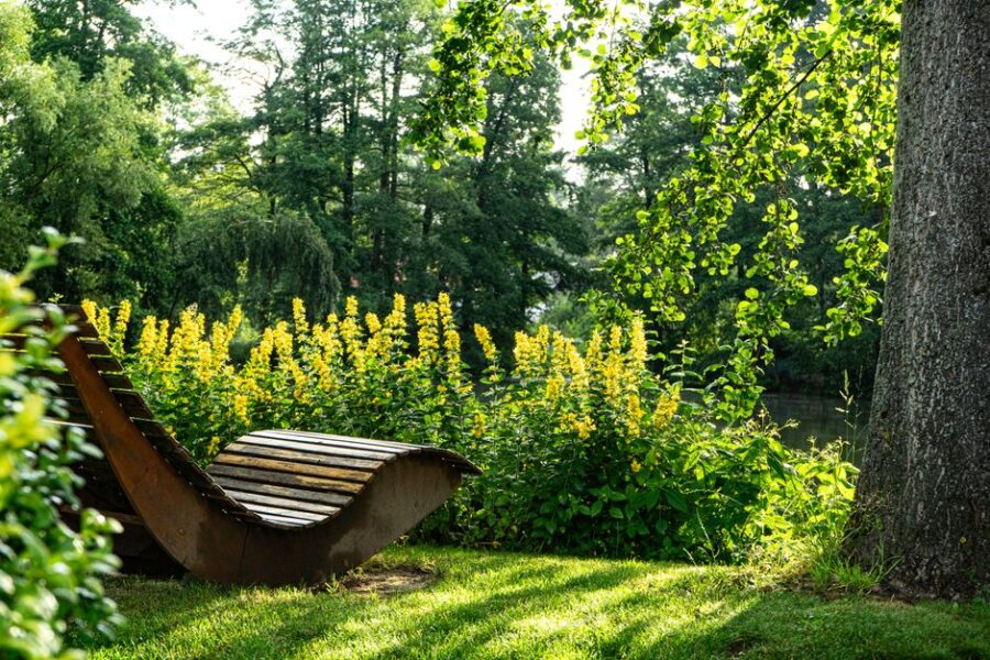 Een rustige omgeving voor ontspanning en reflectie
